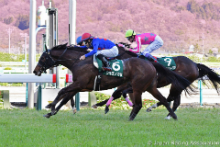 April presents a glorious curtain of cherry blossoms at Fukushima Racecourse